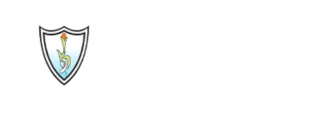 Seedling Schools Logo