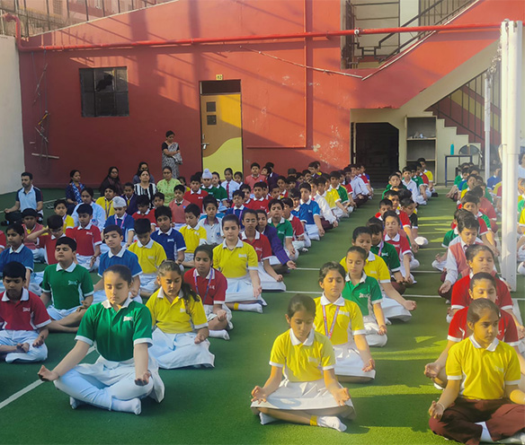 Life at Seedling